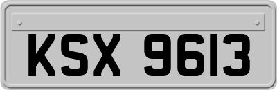 KSX9613