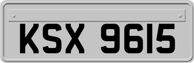 KSX9615