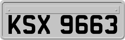 KSX9663