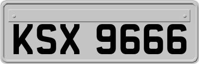 KSX9666