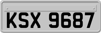 KSX9687