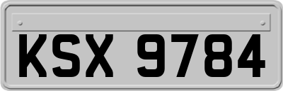KSX9784