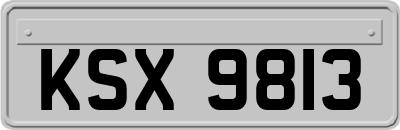 KSX9813