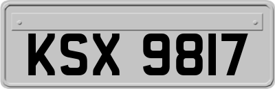 KSX9817