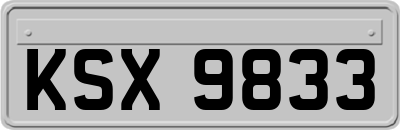 KSX9833