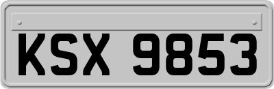KSX9853