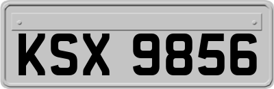 KSX9856