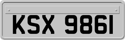KSX9861