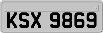 KSX9869