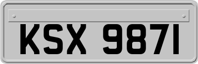 KSX9871