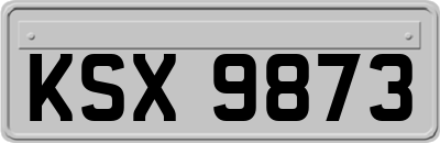 KSX9873