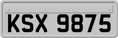 KSX9875