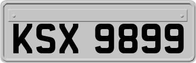 KSX9899