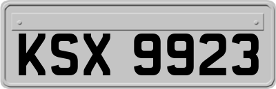 KSX9923
