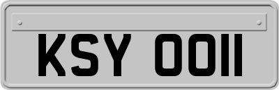 KSY0011