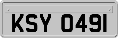 KSY0491