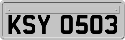 KSY0503