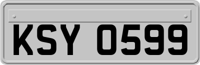 KSY0599