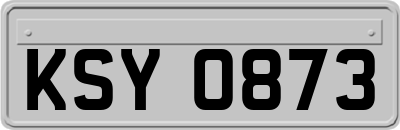 KSY0873