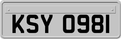 KSY0981