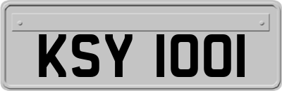 KSY1001
