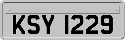 KSY1229
