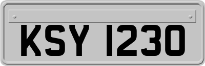 KSY1230