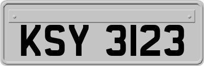KSY3123