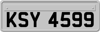 KSY4599