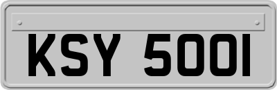 KSY5001