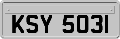 KSY5031