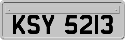 KSY5213