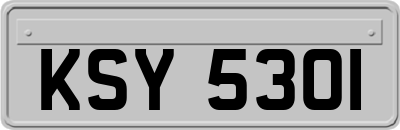 KSY5301