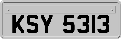 KSY5313