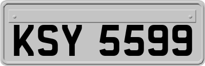 KSY5599