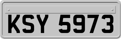 KSY5973