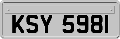 KSY5981
