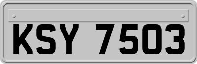 KSY7503