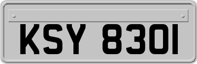 KSY8301