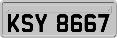 KSY8667