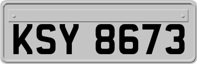 KSY8673