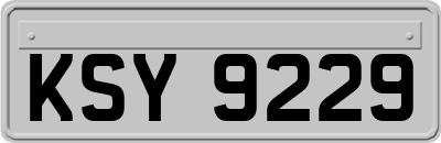 KSY9229