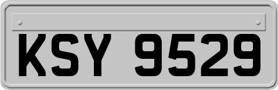 KSY9529