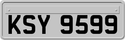 KSY9599