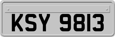 KSY9813
