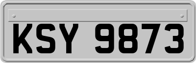 KSY9873