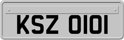 KSZ0101