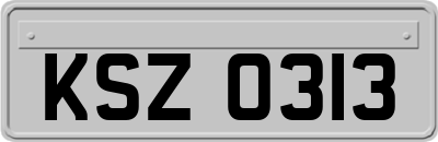 KSZ0313