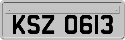 KSZ0613