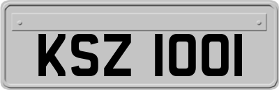 KSZ1001
